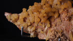 Mimetite on Dolomite