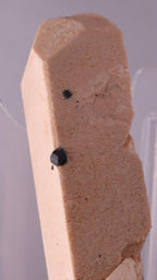 Feldspar with Schorl