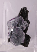Fluorite with Schorl