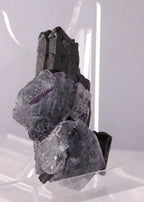 Fluorite with Schorl