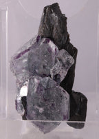 Fluorite with Schorl