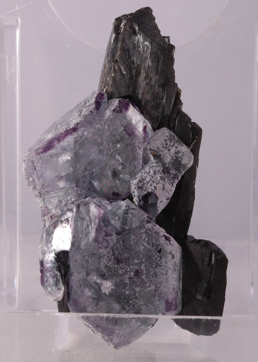 Fluorite with Schorl