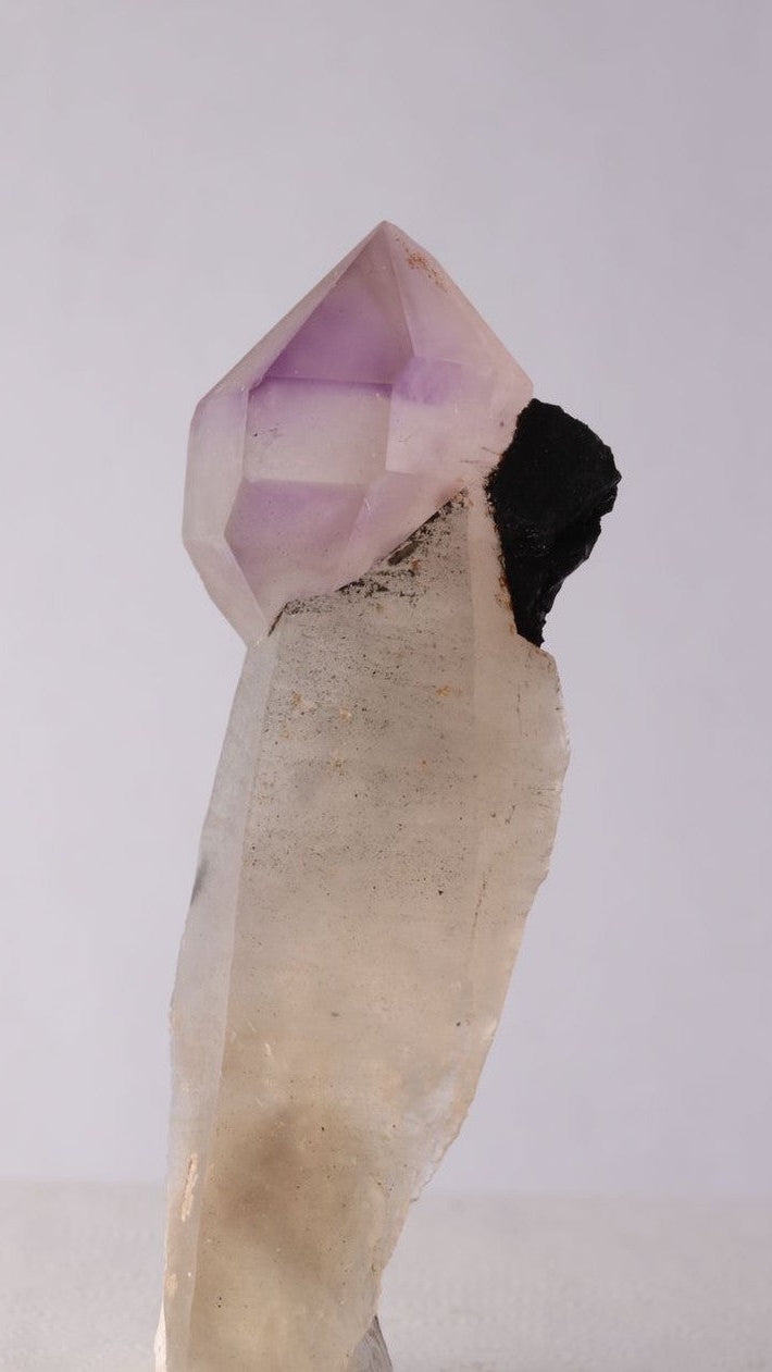 Amethyst Sceptre with Schorl