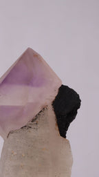 Amethyst Sceptre with Schorl