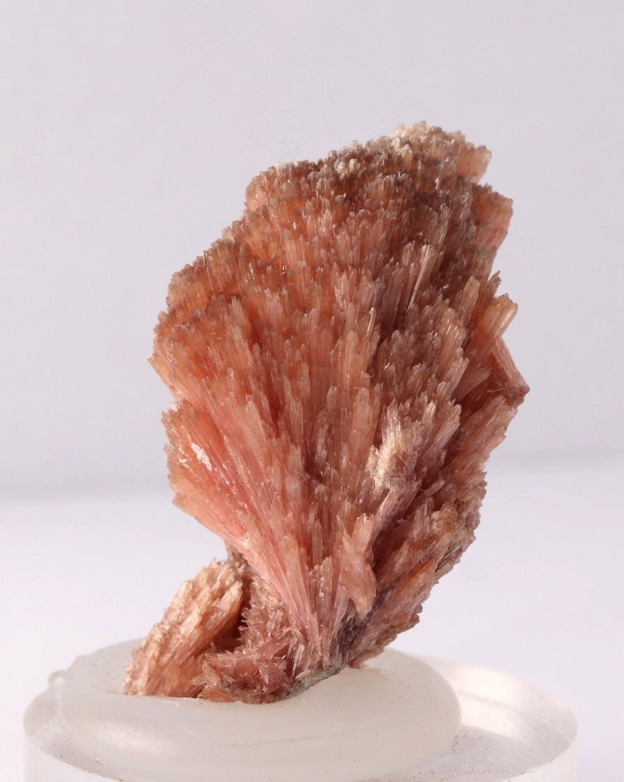 Inesite