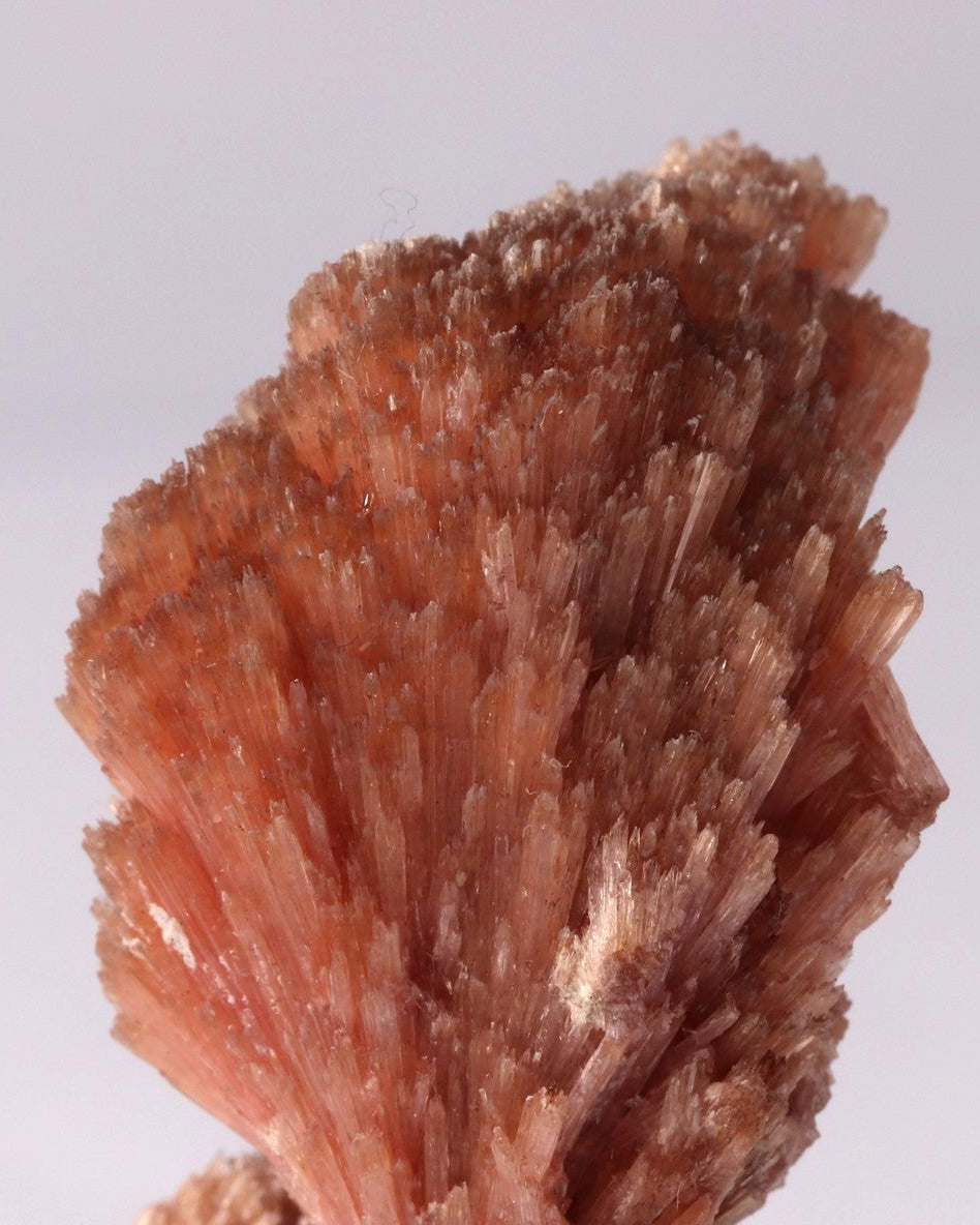 Inesite