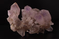 A great cluster of Amethyst sceptres
