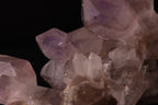 A great cluster of Amethyst sceptres
