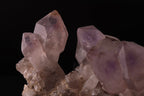 A great cluster of Amethyst sceptres