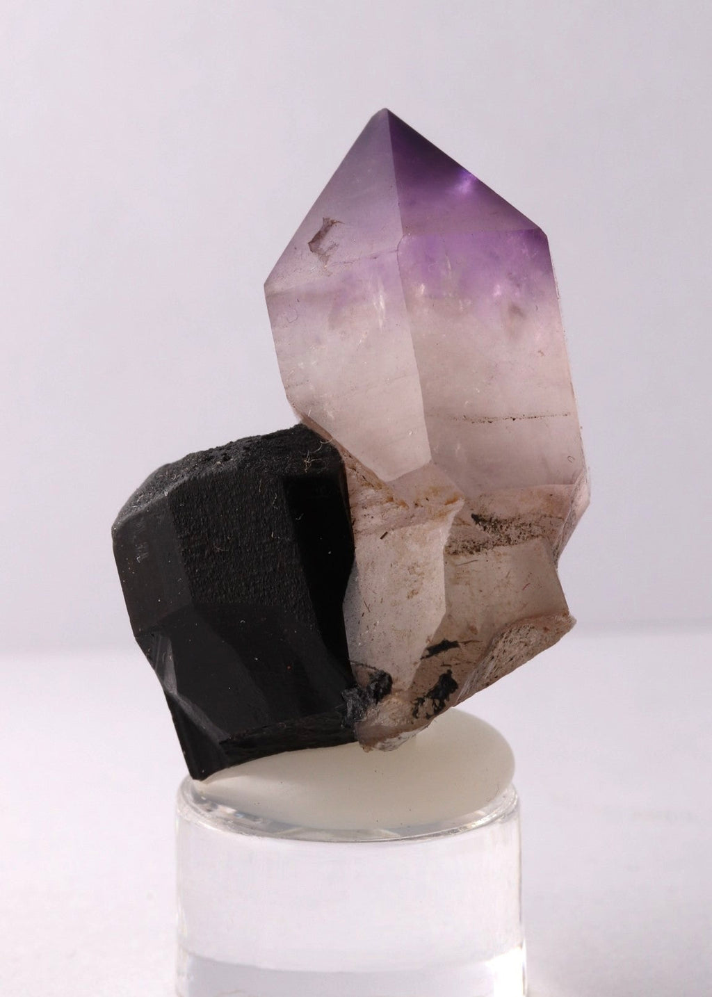 Front view of a sharp deep purple Amethyst sceptre on Schorl.