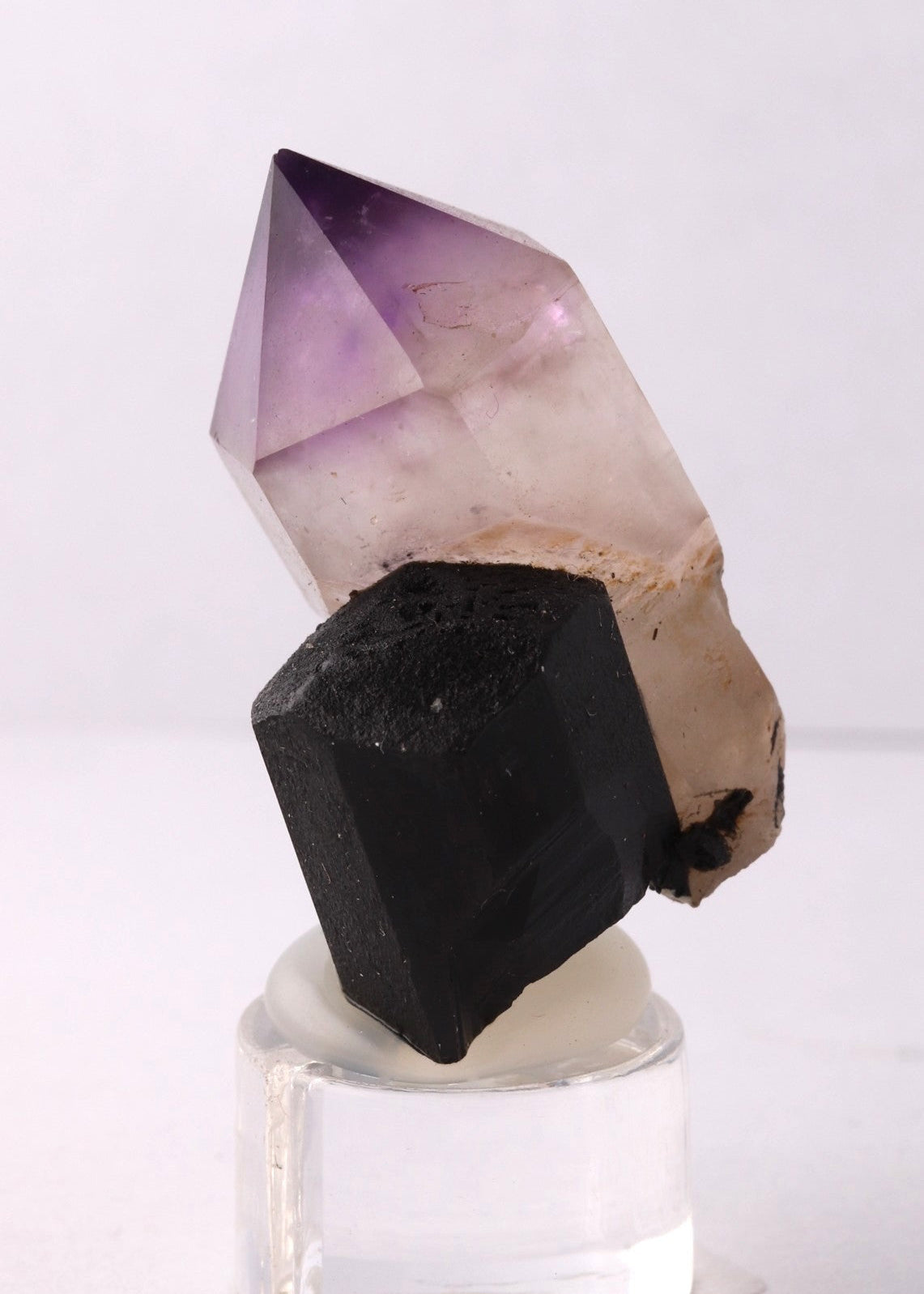Side view of a sharp deep purple Amethyst sceptre on Schorl.