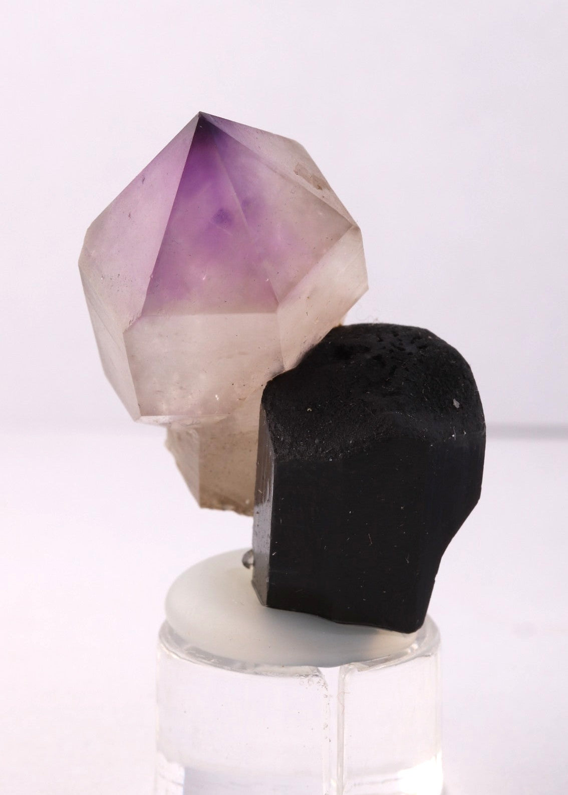 Back view of a sharp deep purple Amethyst sceptre on Schorl.