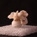 Side view of a Baryte mineral specimen from Wessels Mine, Kalahari Manganese Fields, South Africa