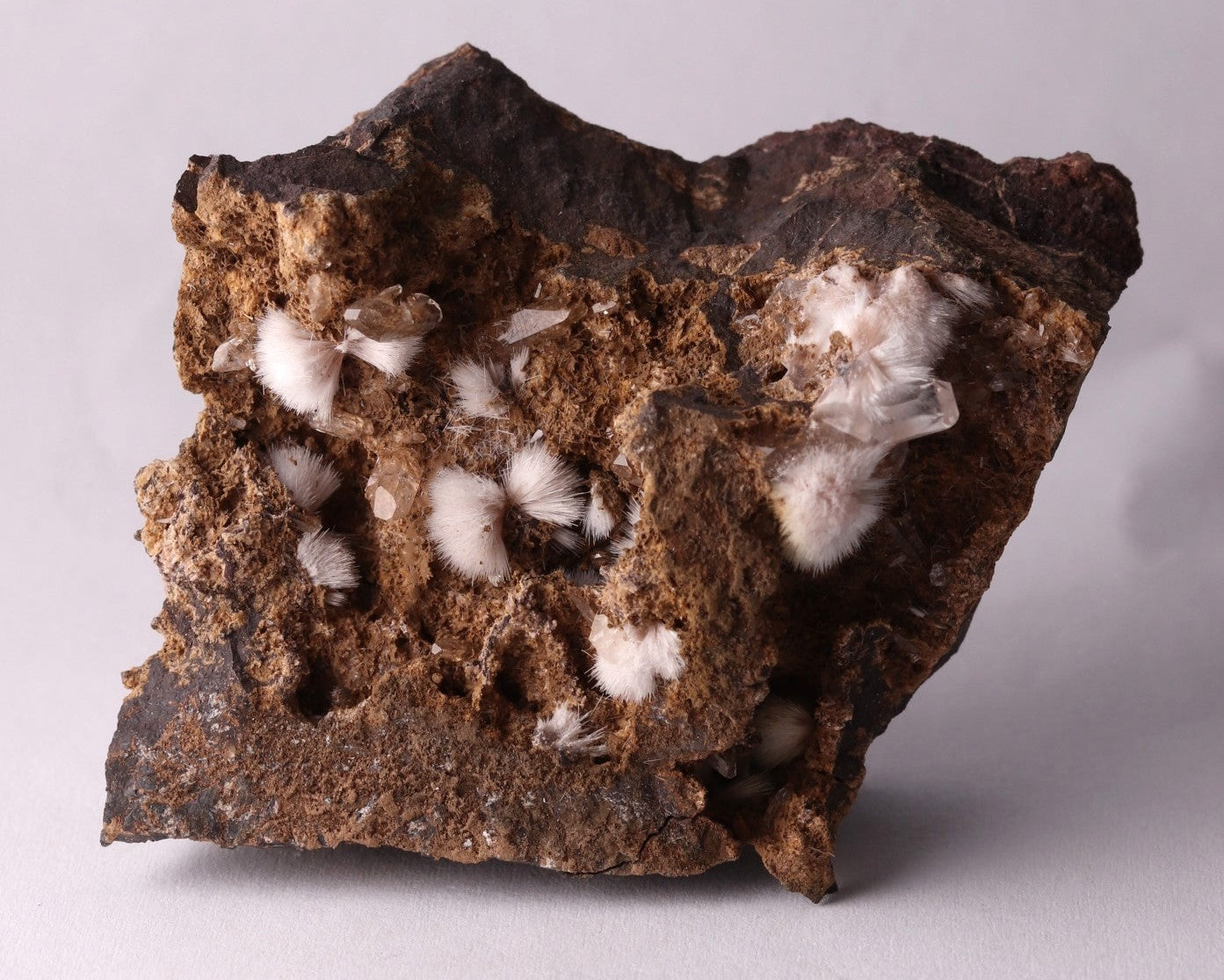 Front view of Bultfonteinite with Calcite mineral specimen from N'Chwaning II, Kalahari Manganese Fields, South Africa