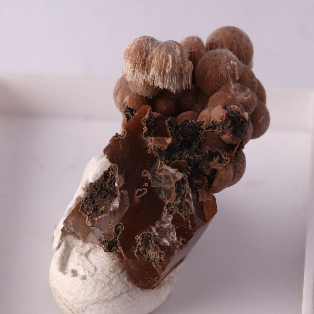 Bultfonteinite with Andradite from N'Chwaning II