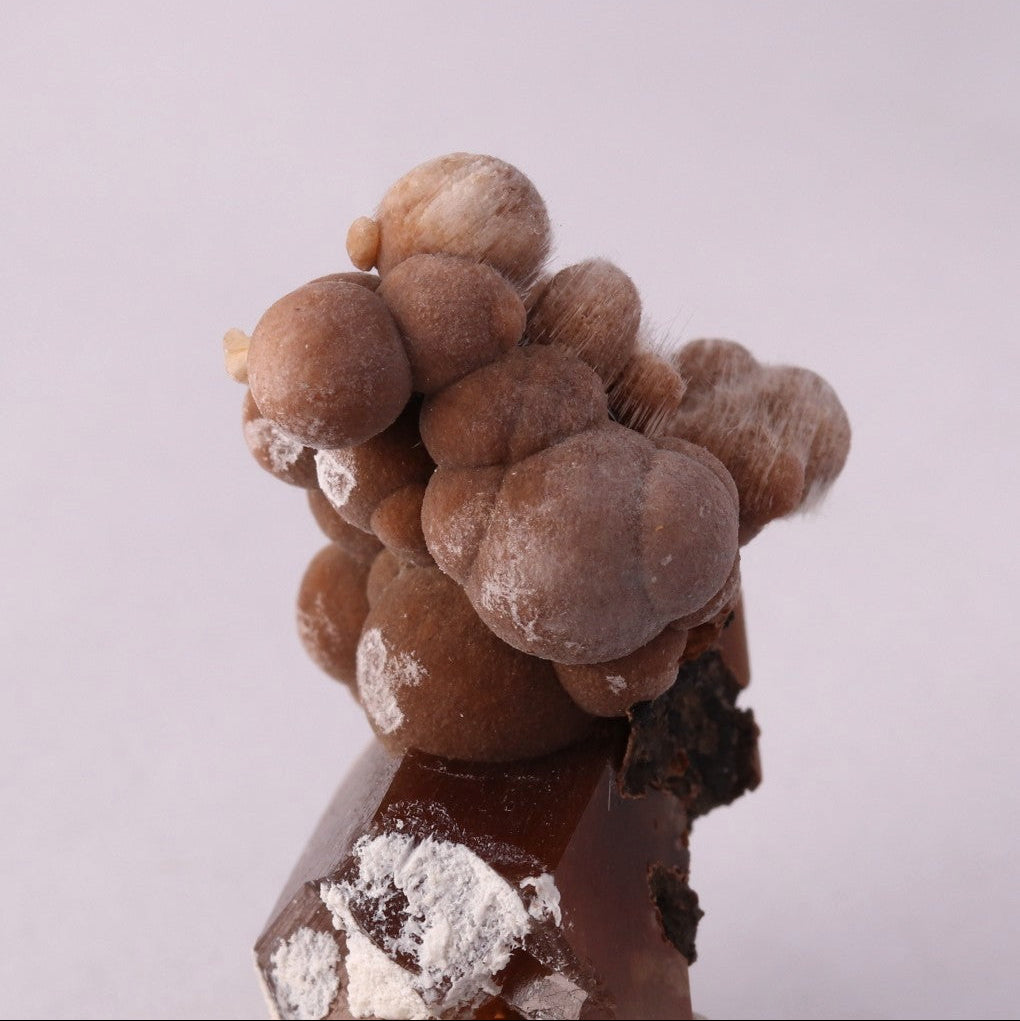 Bultfonteinite with Andradite from N'Chwaning II