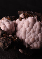 Close-up view of Bultfonteinite mineral specimen from N'Chwaning II, Kalahari Manganese Fields, South Africa