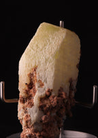 Close-up front view of a nice pale yellow Ettringite mineral specimen from N'Chwaning, Kalahari Manganese Fields, South Africa