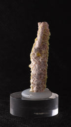 Back view of Ettringite stick mineral specimen from Kalahari Manganese Fields, South Africa