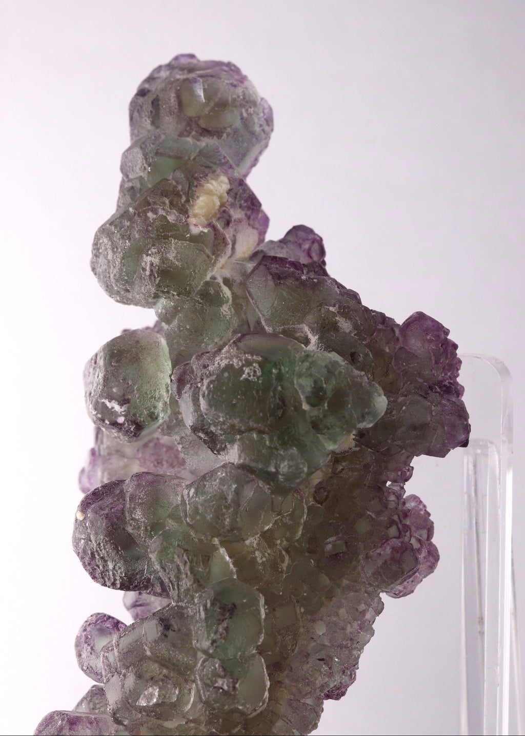 Close-up view 