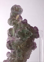 Close-up view 