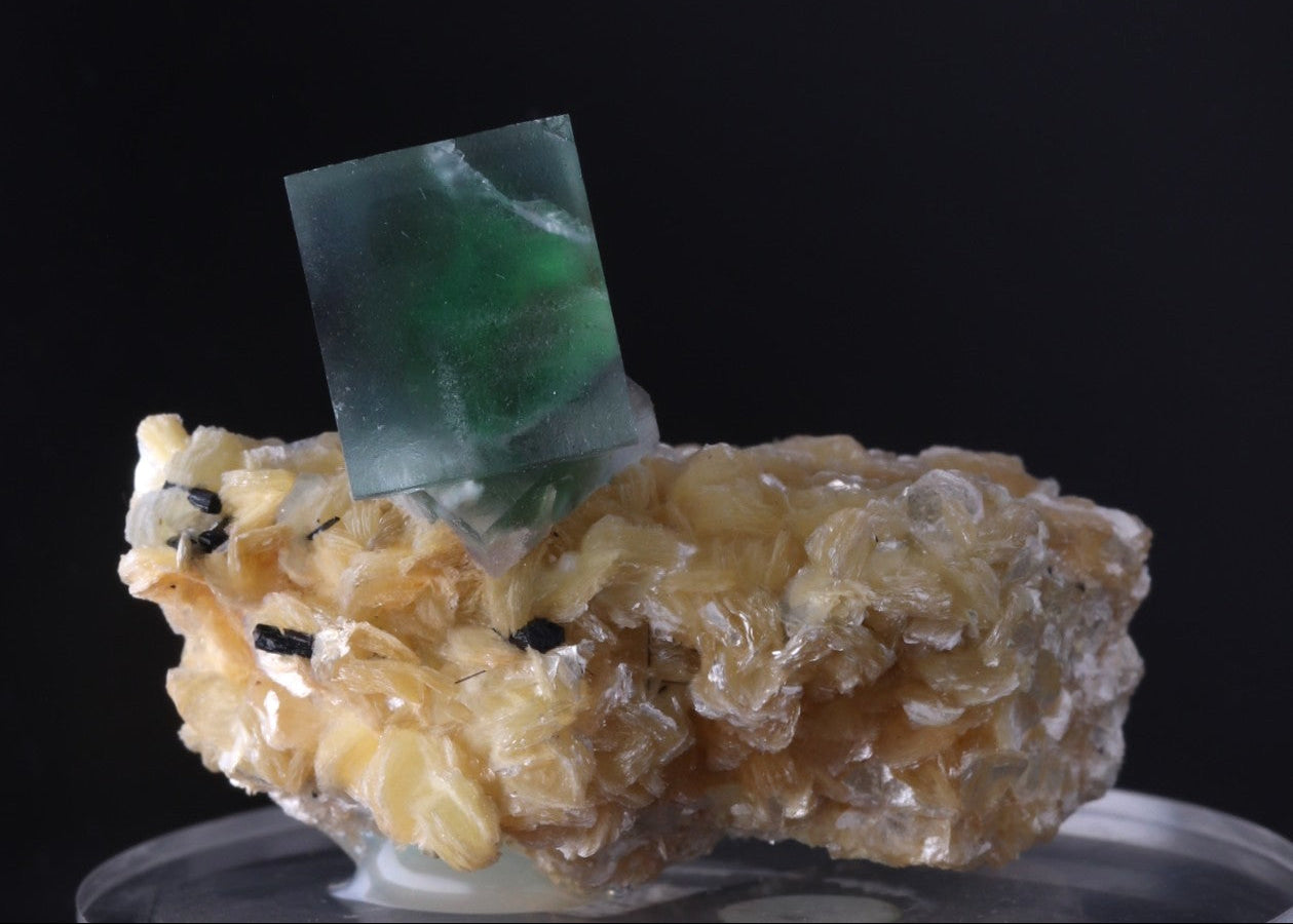 'Alien Eye' Fluorite on Muscovite