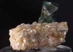 'Alien Eye' Fluorite on Muscovite