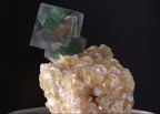 'Alien Eye' Fluorite on Muscovite