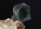'Alien Eye' Fluorite on Muscovite