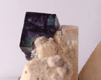 Close-up view of gorgeous blue-purple Fluorite cube on Feldspar from Erongo Region, Namibia