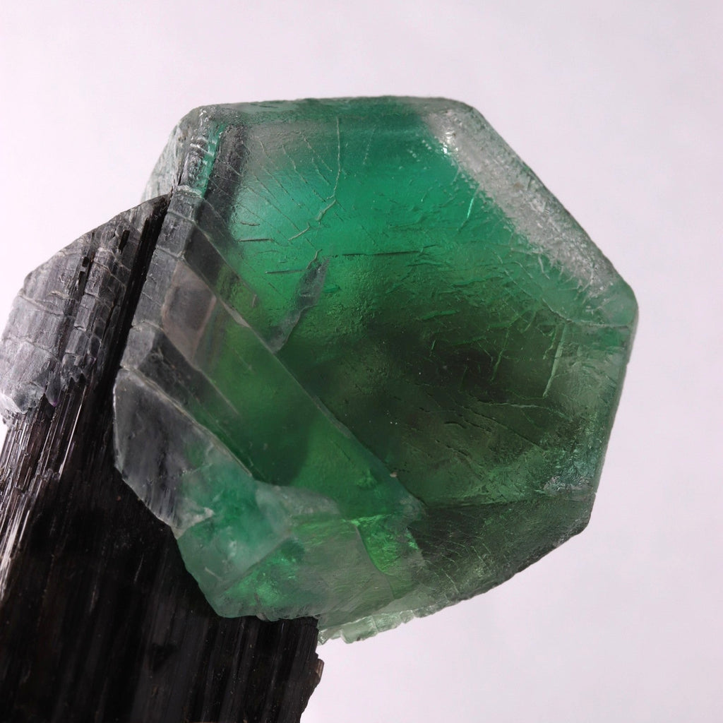 Fluorite on Schorl