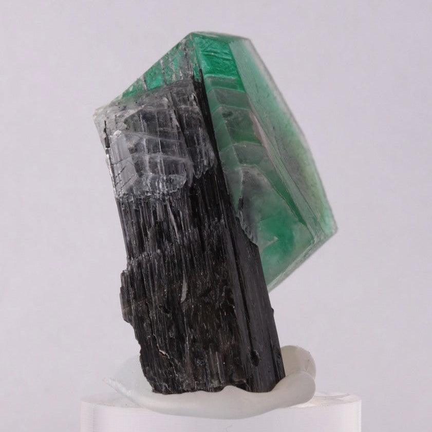 Fluorite on Schorl