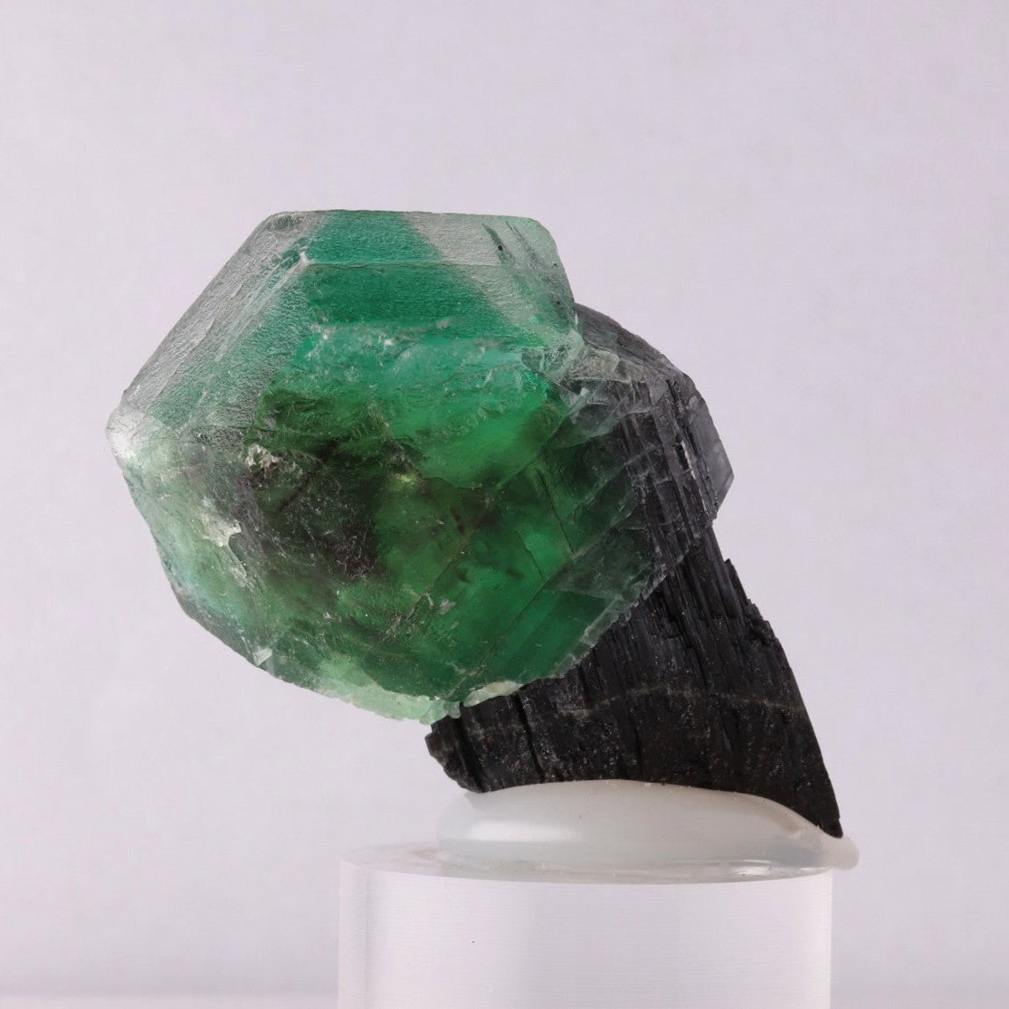 Fluorite on Schorl