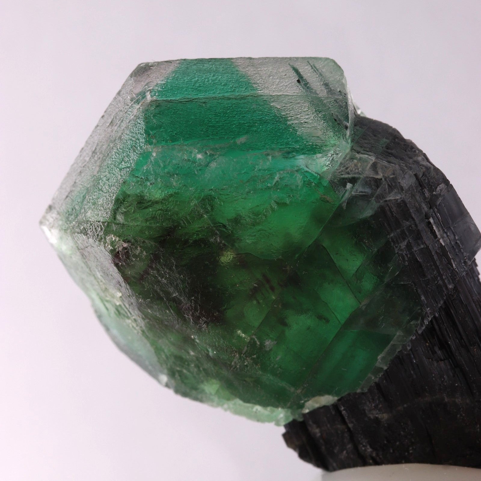 Fluorite on Schorl