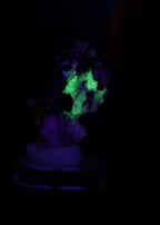 Fluorescent view of great combination of Fluorite with Schorl, Quartz and Hyalite from Erongo, Nambia