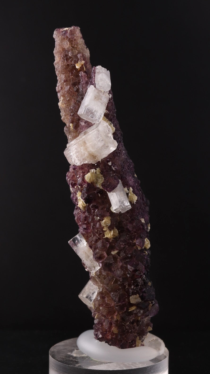 Front view of Deep purple Fluorite stick with Goshenite from Erongo