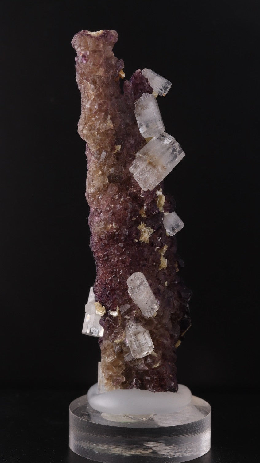 Side view of Deep purple Fluorite stick with Goshenite from Erongo