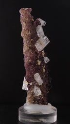 Side view of Deep purple Fluorite stick with Goshenite from Erongo
