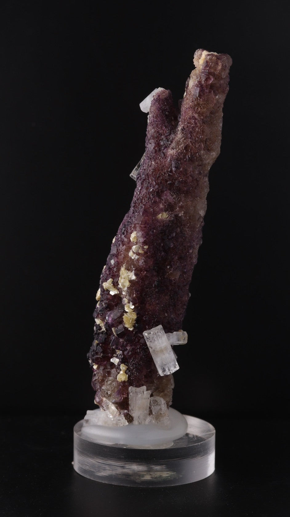 Back view of Deep purple Fluorite stick with Goshenite from Erongo