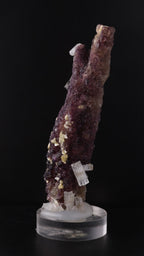 Back view of Deep purple Fluorite stick with Goshenite from Erongo