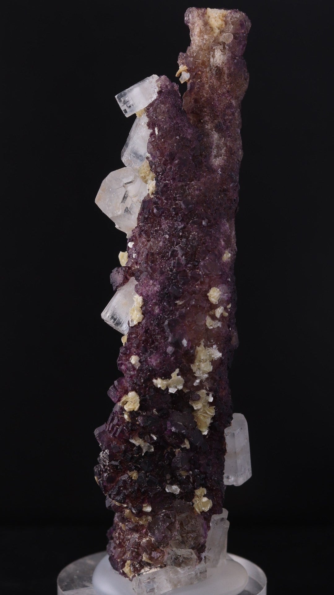Side view of Deep purple Fluorite stick with Goshenite from Erongo