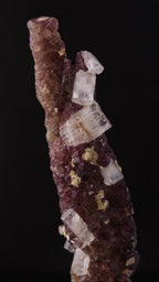 Close-up view of Deep purple Fluorite stick with Goshenite from Erongo