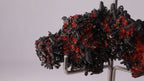 Gaudefroyite with Andradite