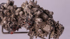 Gaudefroyite with Andradite