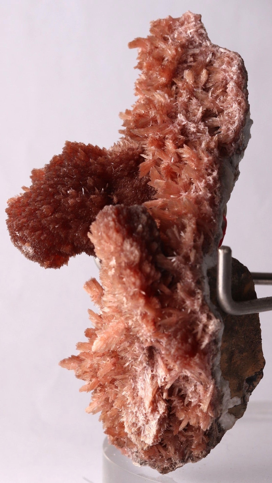Side of classic Inesite from N'Chwaning II, Kalahari Manganese Fields, South Africa