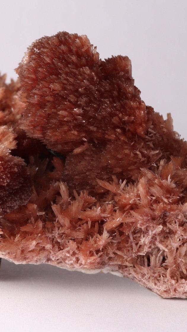 Close-up of classic Inesite from N'Chwaning II, Kalahari Manganese Fields, South Africa