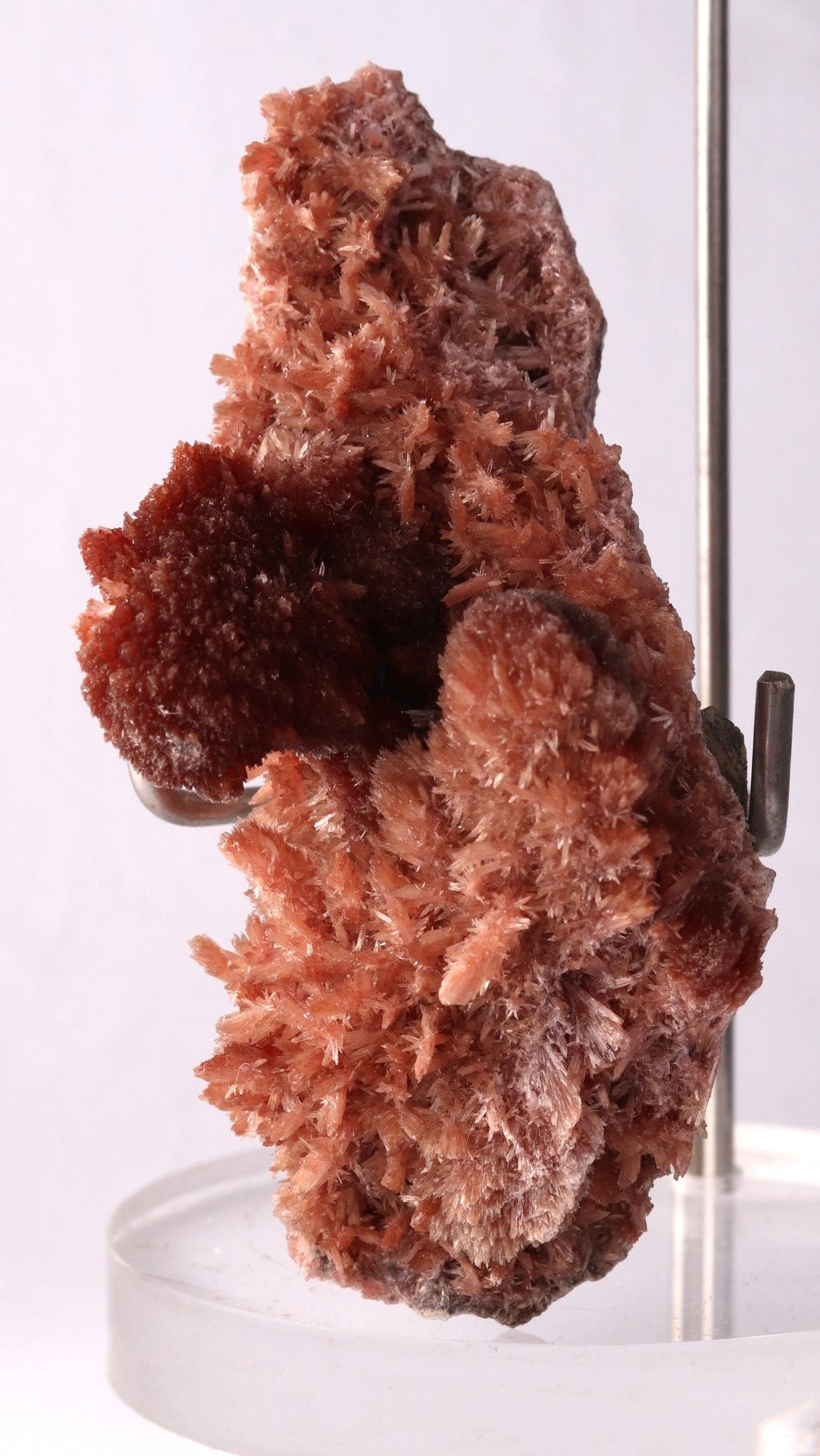 Front view of classic Inesite from N'Chwaning II, Kalahari Manganese Fields, South Africa