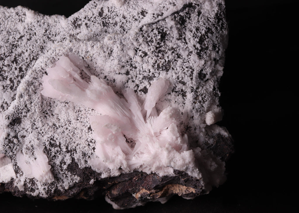 Close-up view of fluorescent Mangano-Calcite mineral specimen from N'Chwaning II, Kalahari Manganese Fields, South Africa