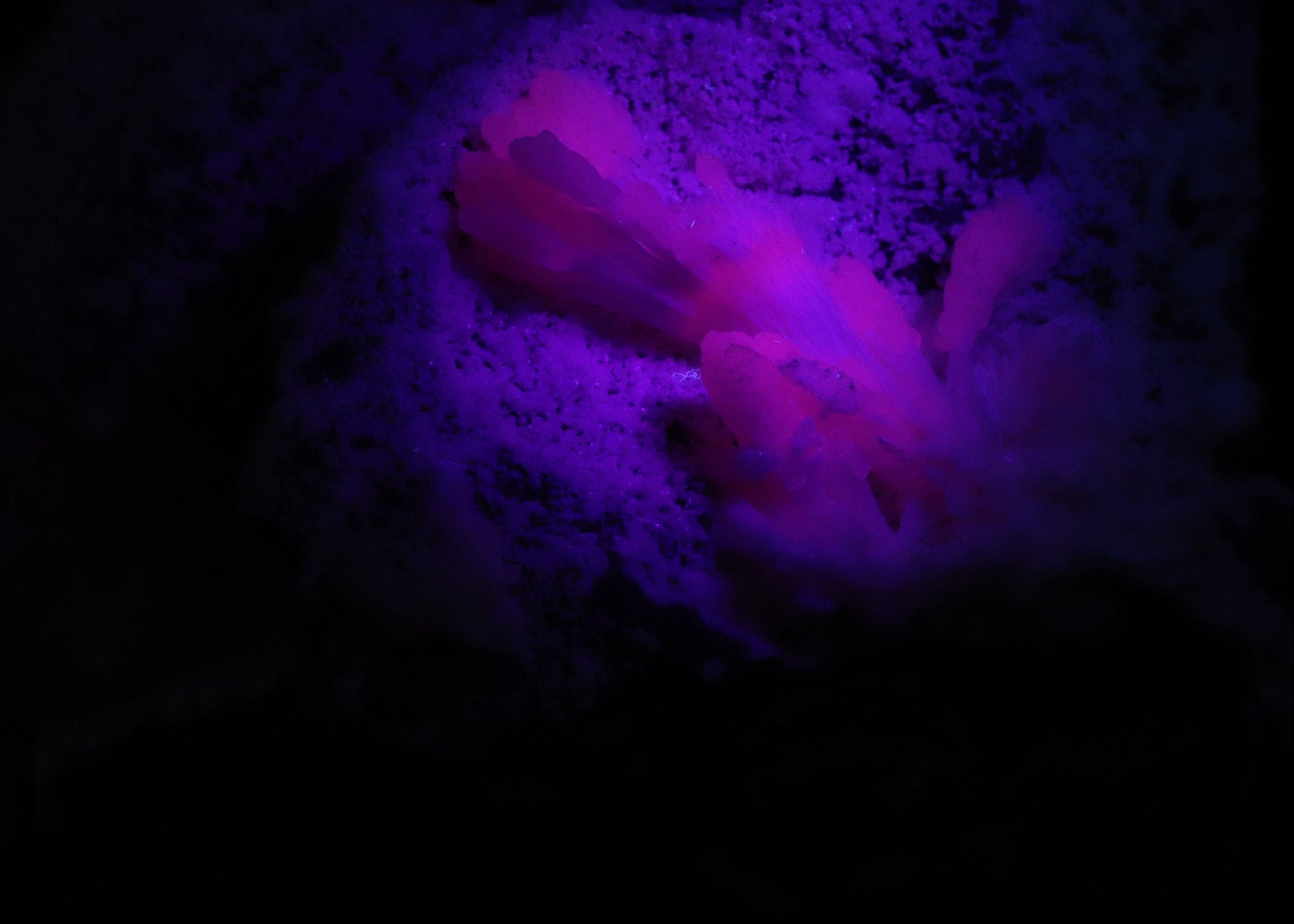 Close-up view of fluorescent Mangano-Calcite mineral specimen from N'Chwaning II, Kalahari Manganese Fields, South Africa