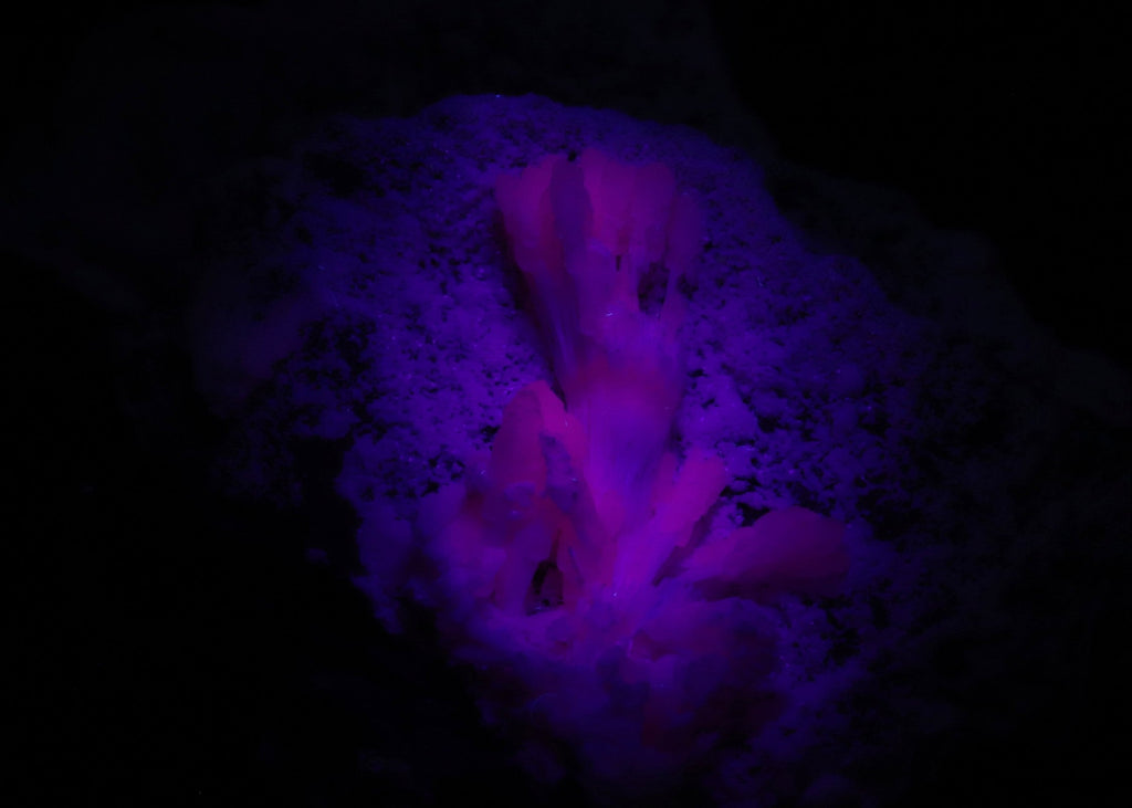 Close-up view of fluorescent Mangano-Calcite mineral specimen from N'Chwaning II, Kalahari Manganese Fields, South Africa